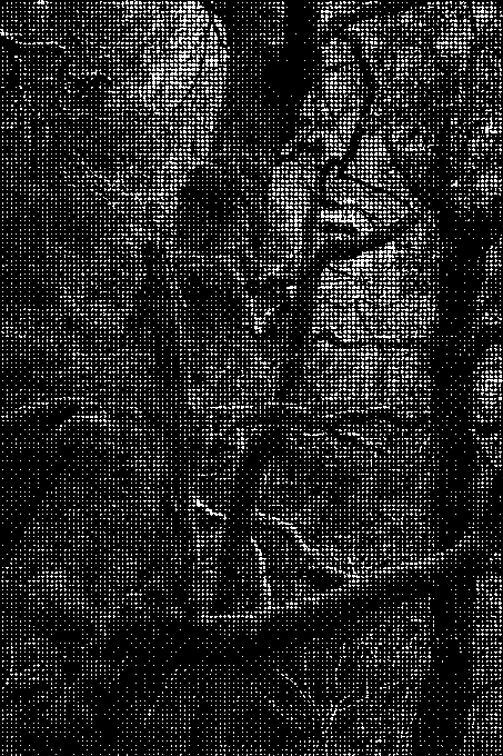 parch i'r ffotograffydd anhysbys o'r ddelwedd hon o Goedwig Law Geltaidd Llyfnant / respect to the untraced photographer of this Llyfnant Celtic Rainforest image lostrainforestsofbritain.org