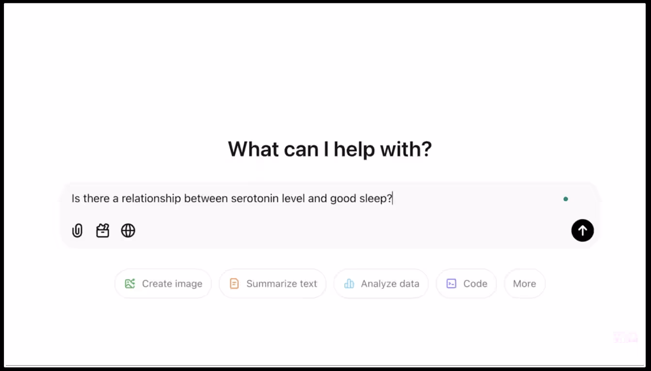 Film Still from Happiness 2025. A chatbot style page asks "What can I help with?" The user has typed in "Is there a relationship between good seratonin level and good sleep?" The user has not yet submitted the question. Underneath the question are five option buttons: Create image; Summarize text; Analyze data; Code; and More.